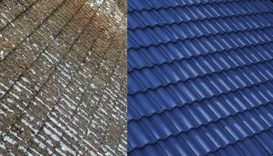 Best Professional Roof Coating Service by FS Contracting
