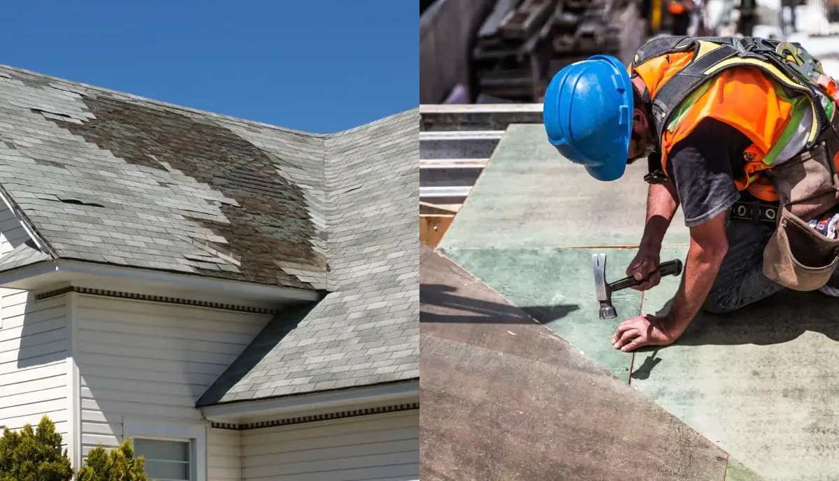 flat roof repair