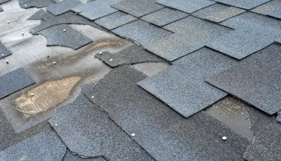 Hail damaged roof shingles repair by FS Contracting Services