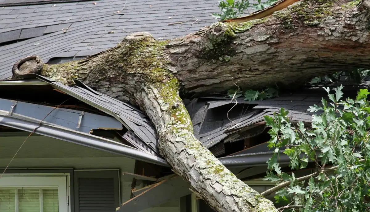 Impact Damage Roof Repair