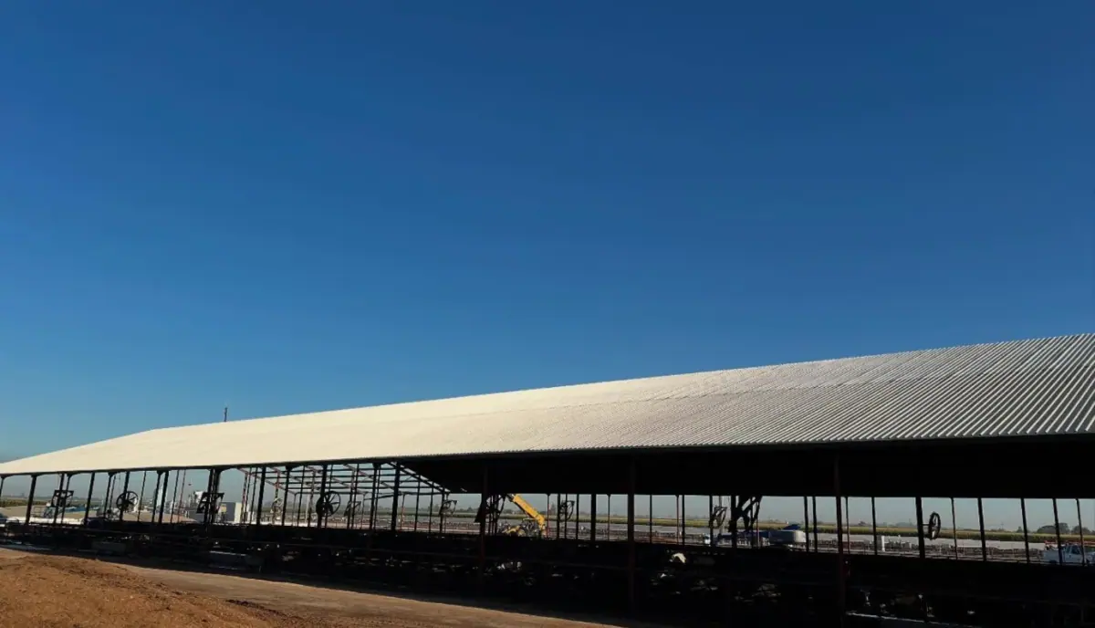 Livestock Shed Roofing by FS Contracting Services